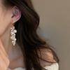 Leaf and Grape Pearl Tassel Ear Hook Grape Cluster Tassels Vintage Dangle Earrings  Daily