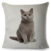 Cute Cat Pillowcase Decor Lovely Pet Animal Print Cojines Cushion Cover Polyester Pillow Case for Home Sofa Children Room 45x45