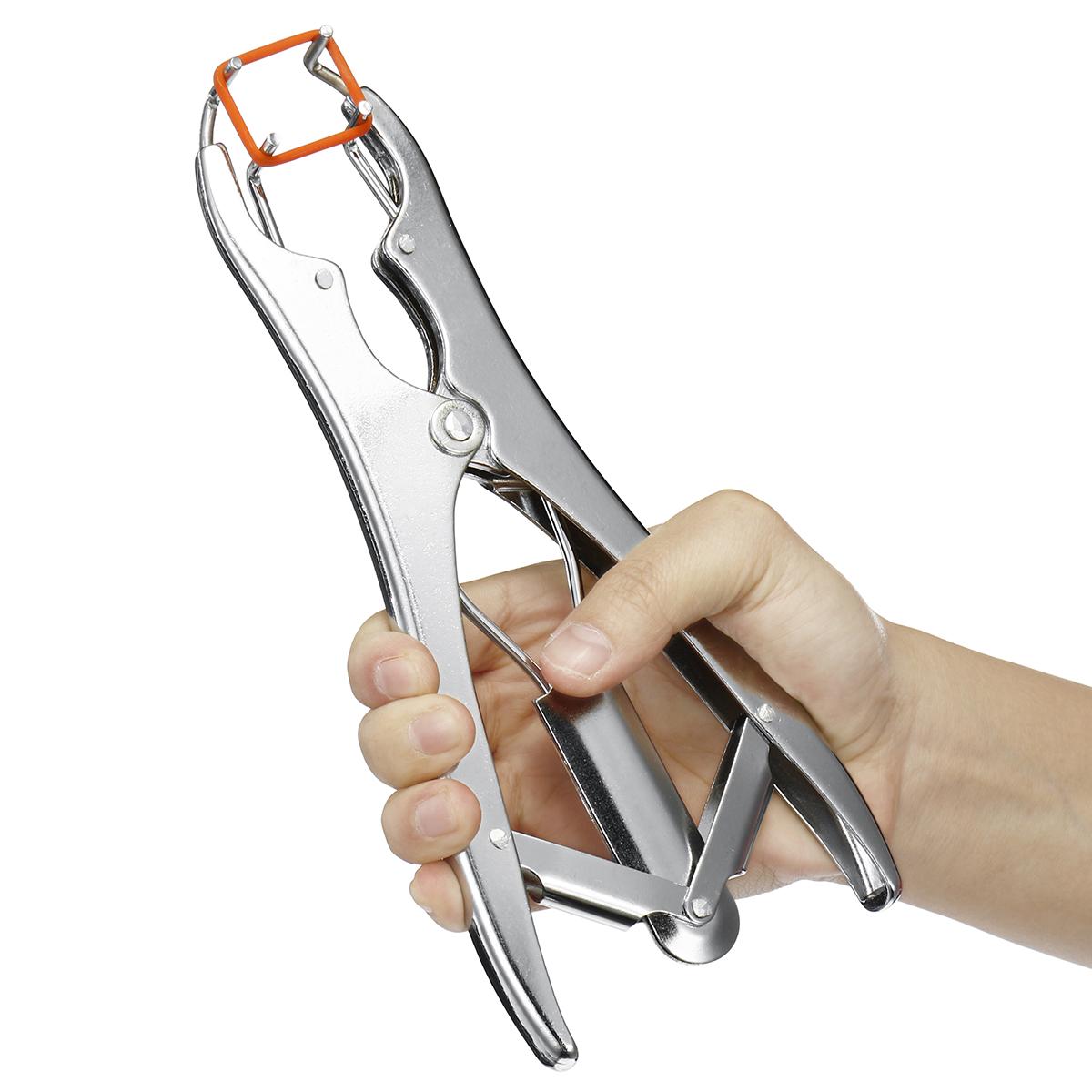 Elastratore Castrazione Pecore Anello di Gomma Applicatore Castratore Anelli per Mozzatura acquista in modo economico - spedizione gratuita, recensioni reali con foto