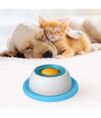 Zahngesundheit Leckmatte für Hunde & Katzen, Interaktive Slow Feeder Leckplatte mit rutschfester Basis, Haustier Mentalanreicherung Spielzeug