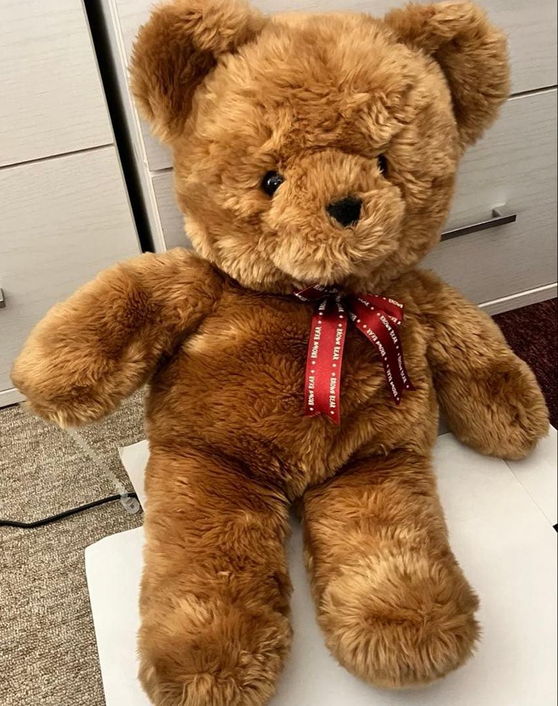 [USED] Brown Bear Teddy Bear, Large Size