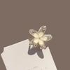 Korean Style Princess Bow Hair Clip for Women - High-End Side Bangs Double Clip Hair Accessory