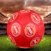 Energie Cottbus Logo Size 5 Soccer Ball, Machine-Stitched PVC, Durable & High Bounce, All Ages Fit, Fan Merchandise, Matches & Outdoor Use.