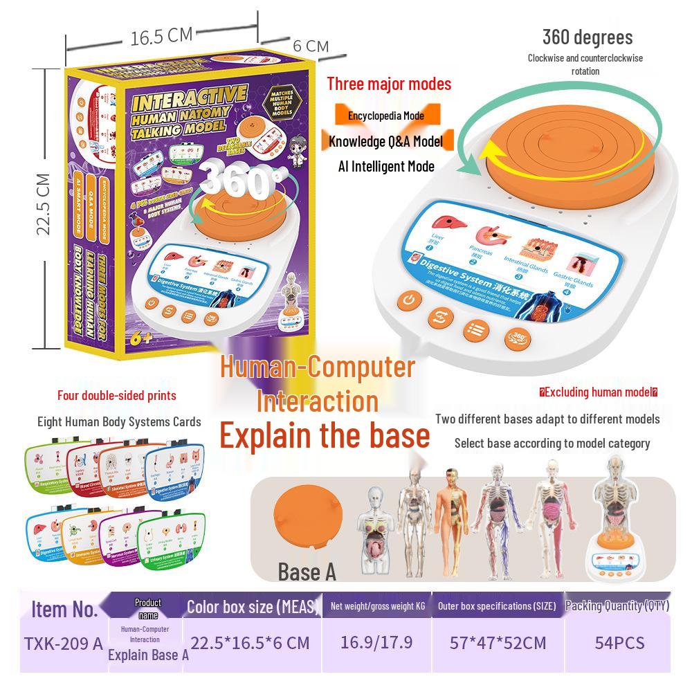 Children's STEM Educational Human Skeleton Model Toy