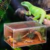 Spider Enclosure Transparent Reptile Enclosure Snake Terrarium for Gecko Snake Frog Chameleon Bearded Dragon Tortoise