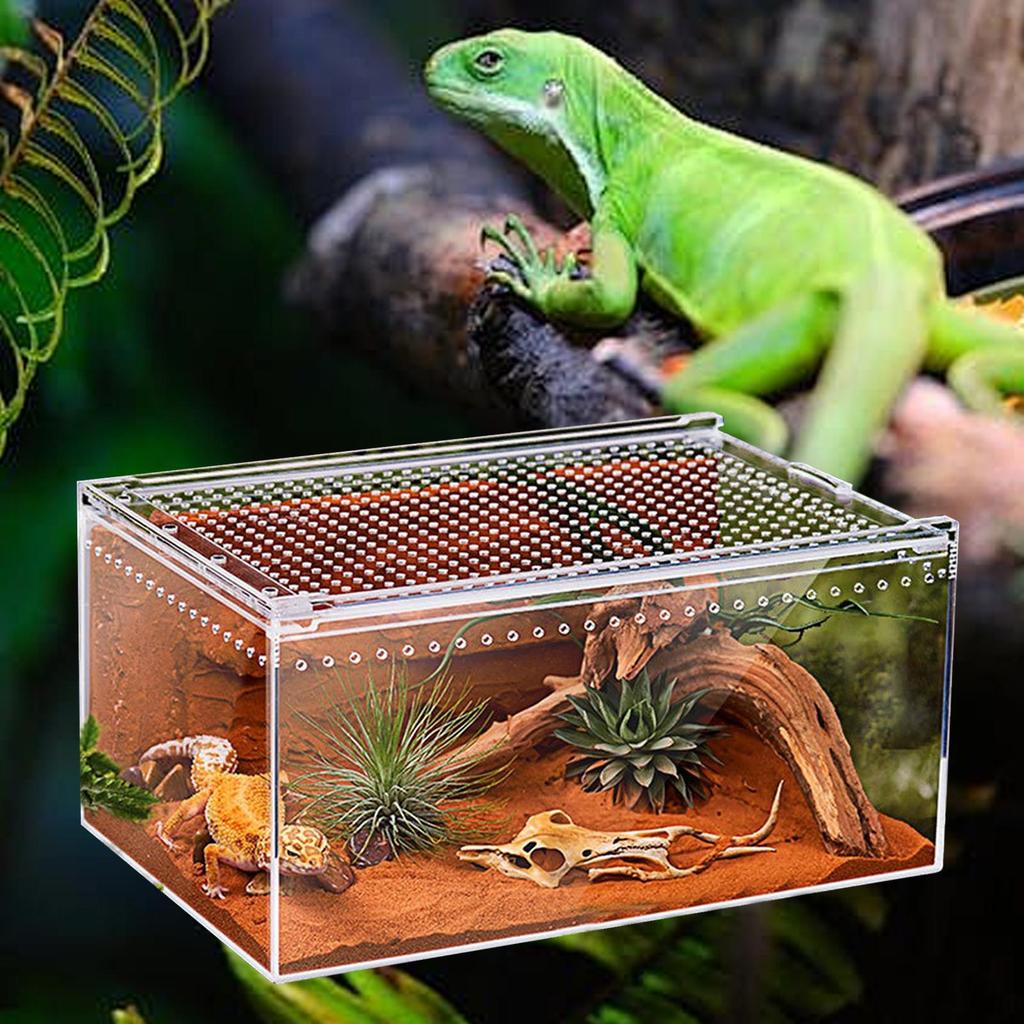 Spider Enclosure Transparent Reptile Enclosure Snake Terrarium for Gecko Snake Frog Chameleon Bearded Dragon Tortoise