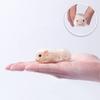 Simulation Hairy Pig Doll Soft Silicone Toy Realistic Animal Squeeze Decompression Stress Relief for Kids School Home Desk
