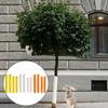 Schutz für junge Bäume Baumstammschutz Einfacher Installationsprozess