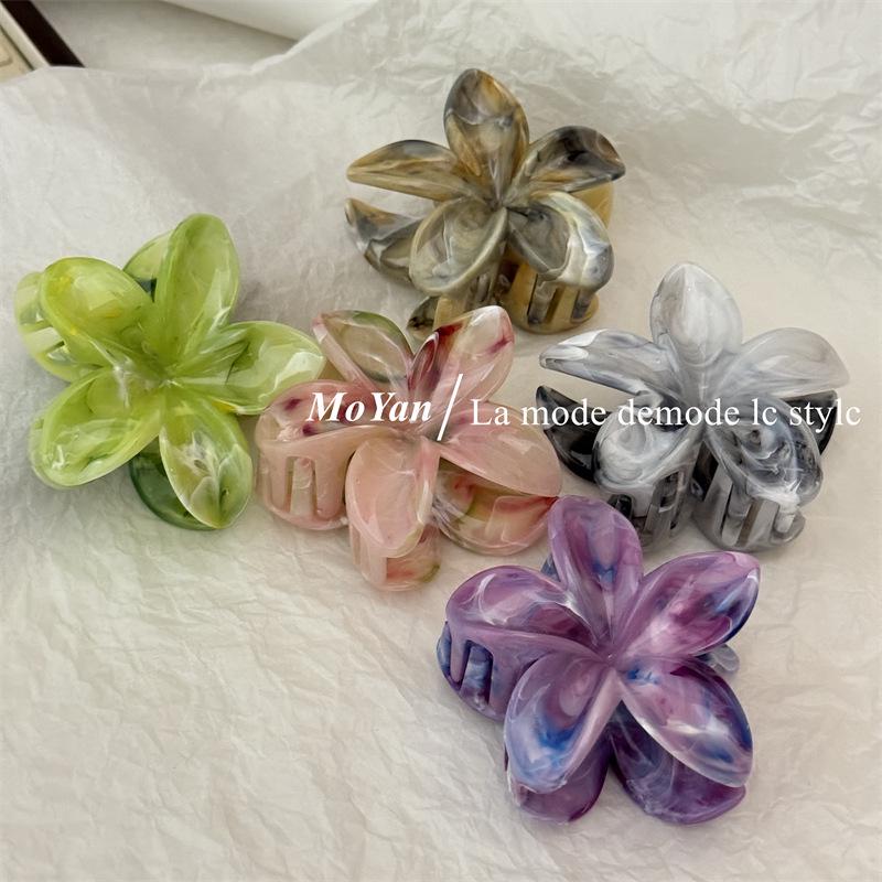 2024 High-End Elegant Frangipani Gradient Hair Claw: Colorful Shark Clip for Women