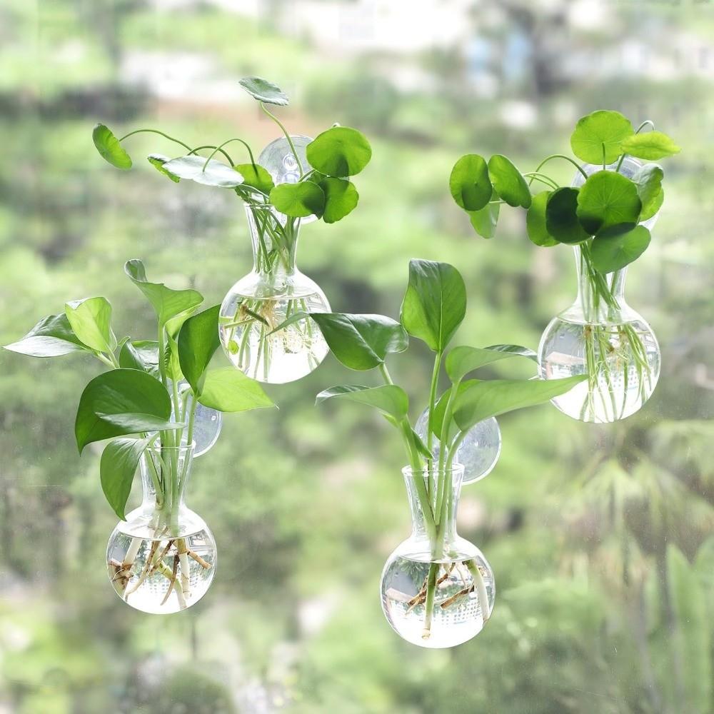4pcs/set Self-Watering Plant Hydroponic Vase Transparent Hanging Fish Tank Mini Flower Pot Bathroom