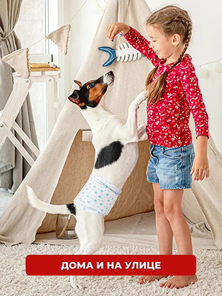 Medium breed dog diapers Male belts size M 10 pcs