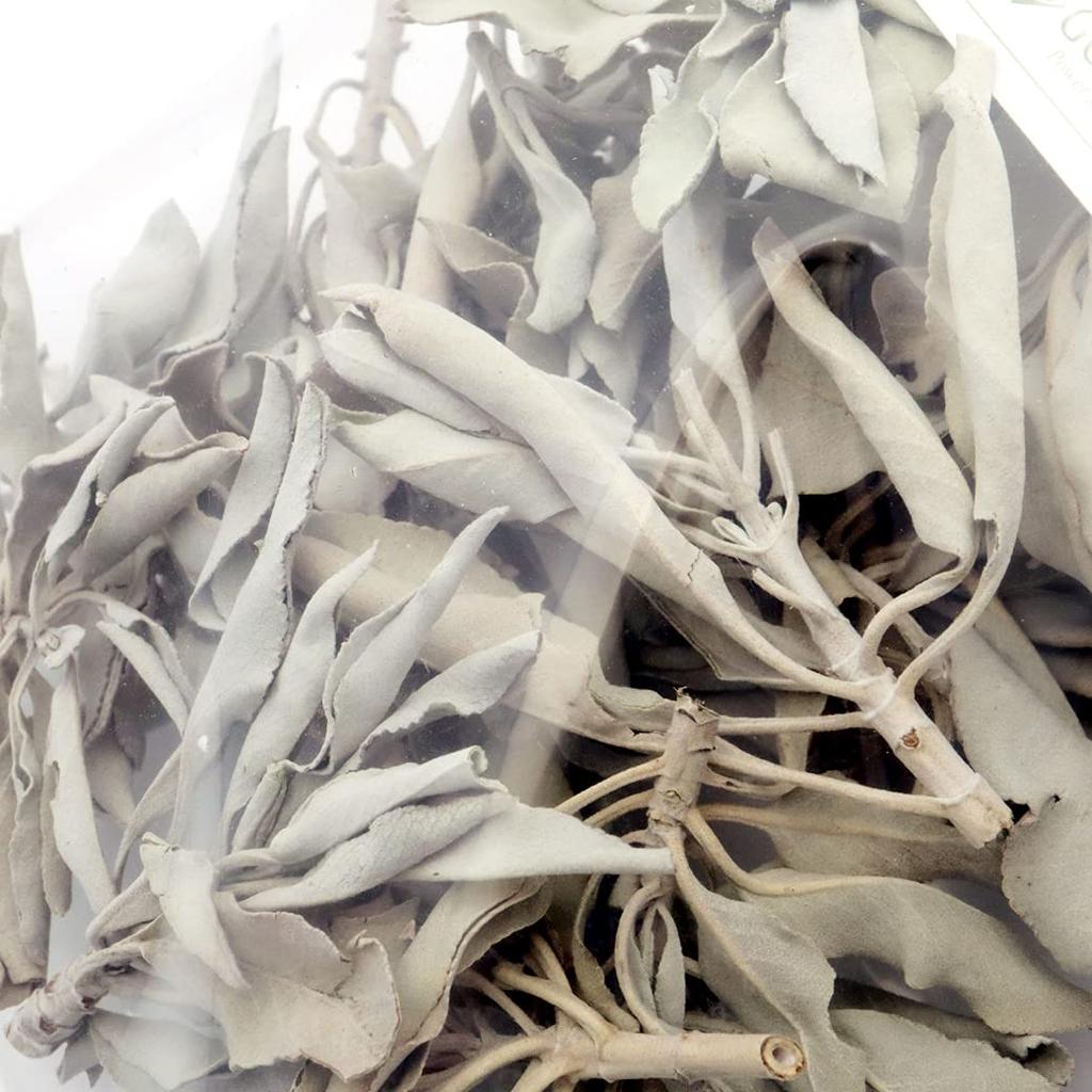[GOLD STONE] White Sage, Pesticide-Free, California, Approx. 50g (with Stems, Small Leaves)