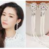 1Pair of Long Fringed Earrings, Korean Version of Fashion Temperament Exaggerated Diamond-set Round Earrings