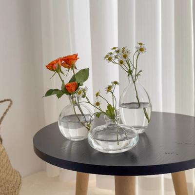 Creative Mini Glass Flower Vase Transparent Hydroponic Plant Bottle Flower Arrangement Pot Living Room Home Office Desktop Decor