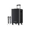 Sansui E10pro Portable KTV Speaker with Wireless Microphone