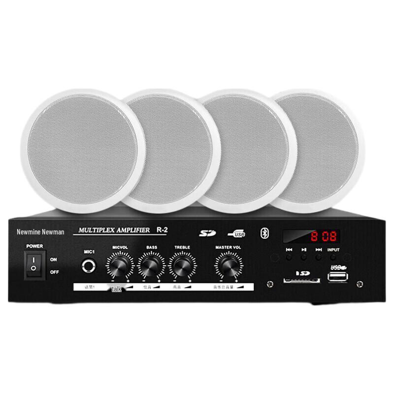 

Newman R12 Bluetooth Ceiling Speaker System