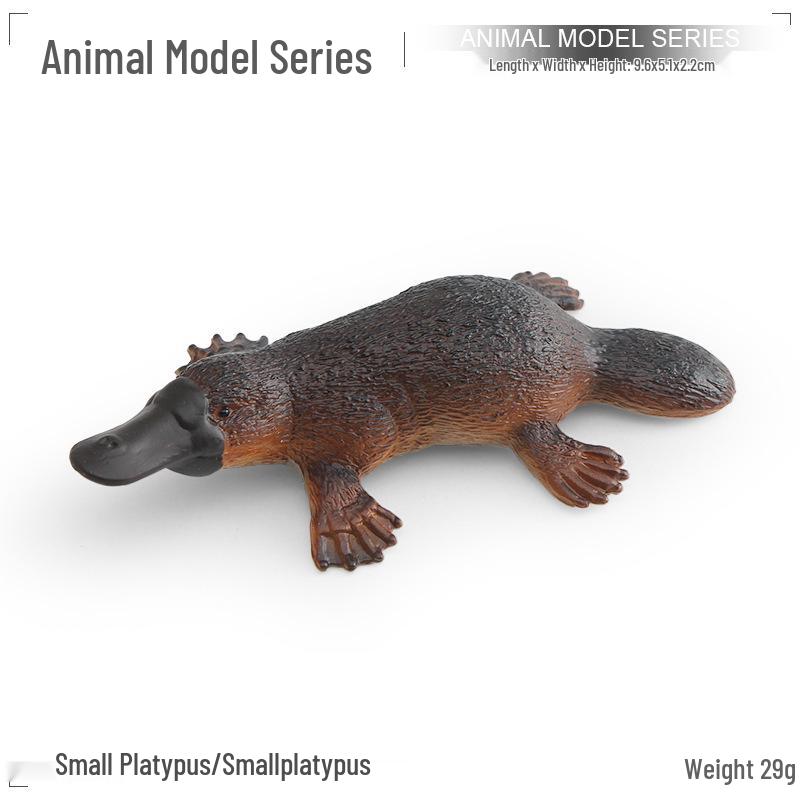Platypus Model - Children s Educational Desktop Ornament