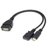 Usb One Cent Two Port Adapter Otg Cable For Mobile Tablet External Power Supply