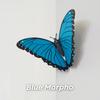 Yousheng 3D Printed Butterfly Refrigerator Magnet DIY Home Kitchen Locker Fridge Monarch Tiger Swallowtail Blue Butterfly Magnetic Decoration Ornament