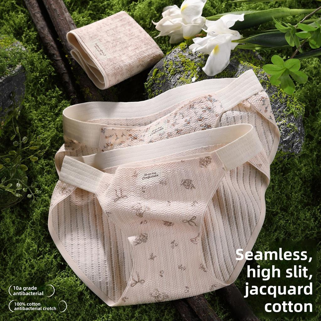 Plus Size Women's 10A Cotton Antibacterial Crotch Breathable and Gently Tucked High Waist Briefs