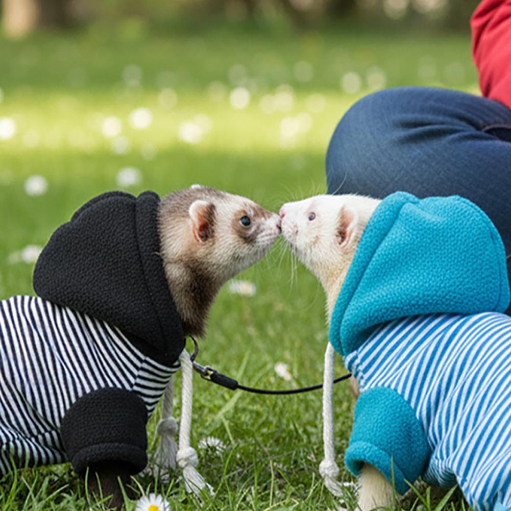 Set Pettorina e Guinzaglio per Furetto Cappotto Caldo Invernale e Set Pettorina e Guinzaglio a Prova di Fuga Regolabile per Viaggi all'Aperto dell'Animale Domestico