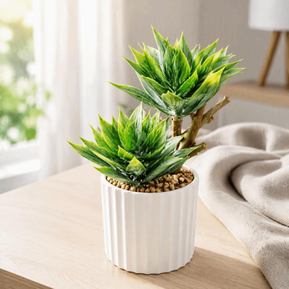 Green Simulation Succulent Flowerpotted Table Potted Fake Flower Bonsai Desktop Ornament