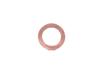 Turbine Hose Seal Pl299450 1.6 Hdi