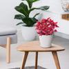 Plastic Round Flower Pots with Tray for Home Planters, Terrace, Garden Etc | Pack of 05 | White | Size 6.5 Inch | for Home Indoor & Outdoor