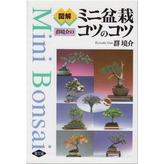 Illustrated Tips Mini Bonsai Care