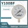 DEWESI Y100BF Stainless Steel Pressure Gauge