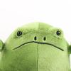 Ricky Rain Frog Cartoon Frog Doll Multi Color Pillow Soft Plush Toy Solitary