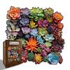 Wacocetoy Wooden Succulent Puzzle: Challenging Irregular Holiday Gift for Stress Relief