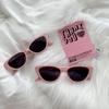 Retro 2025 Fashion Cat Eye Small Frame Sunglasses for Women UV400 Protection Sun Glasses Trendy Outdoor Driving Goggles Eyewear