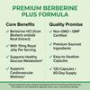 Berberina 1000 Mg Suplemento Alimentar, Com Geleia Real, 120 Cápsulas Por Frasco