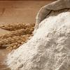 Fuhua (Luhua) Wheat Core Flour