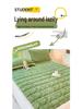 Winter Velvet Taffeta Mattress Topper - Thickened Milk Velvet Pad for Single Beds