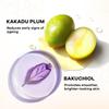 Lotus Professional Retemin Plant Retinol & Vitamin C Brightening Night Face Cream | Anti-Aging | Skin Brightening & Anti-Wrinkle With Dark Spot Cor
