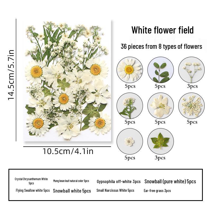 DIY Dried Flower Specimen Sticker Set for Kids: Handmade Pressed Flower Frames & Resin Bookmark Craft Kit