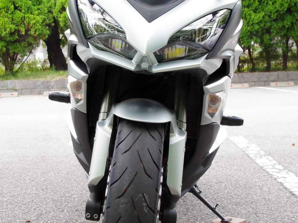 World Walk Ninja 1000 Engine Guard of Left and (Set 2, Right) Weg-10e