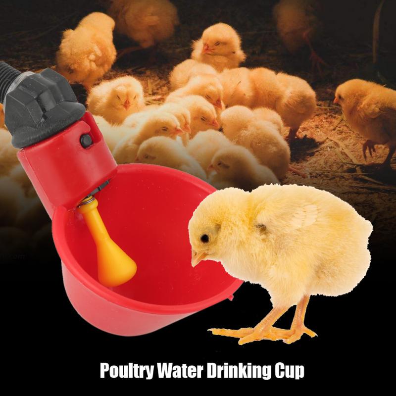 10 Pack New Plastic Automatic Chicken Hen Drinker Poultry Water Drinking Cups