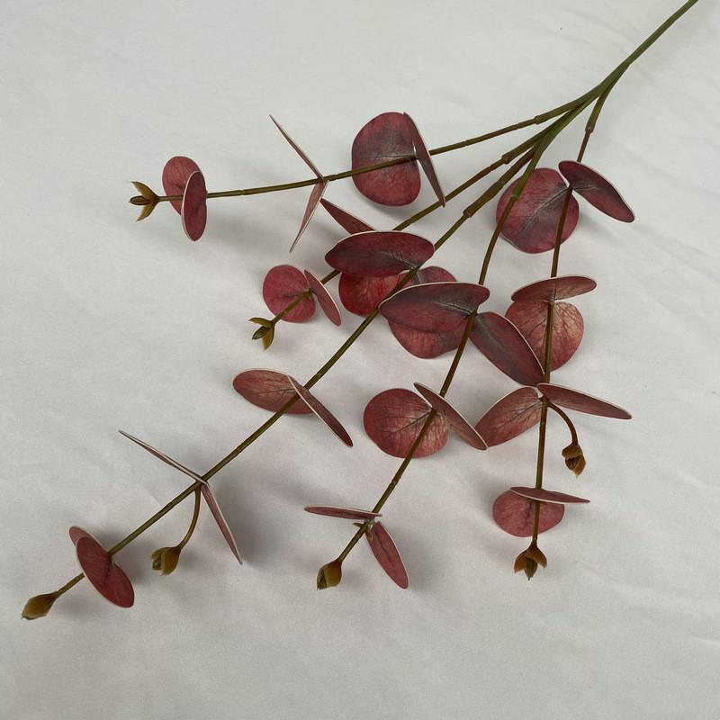 Peníze Eukalyptové Listy Stonky Pro Vnitřní Venkovní Svatba Dárek Dekorace