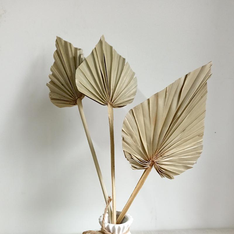 1/2PCS Pampas Grasses Branches DIY Wedding Decorations Home Decora Palm Fan Leaf Dried Flower Palm Leaves In Different Shapes