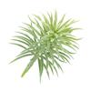 Artificial Pine Plant Simulation Home Office Ornament Plant Decoration