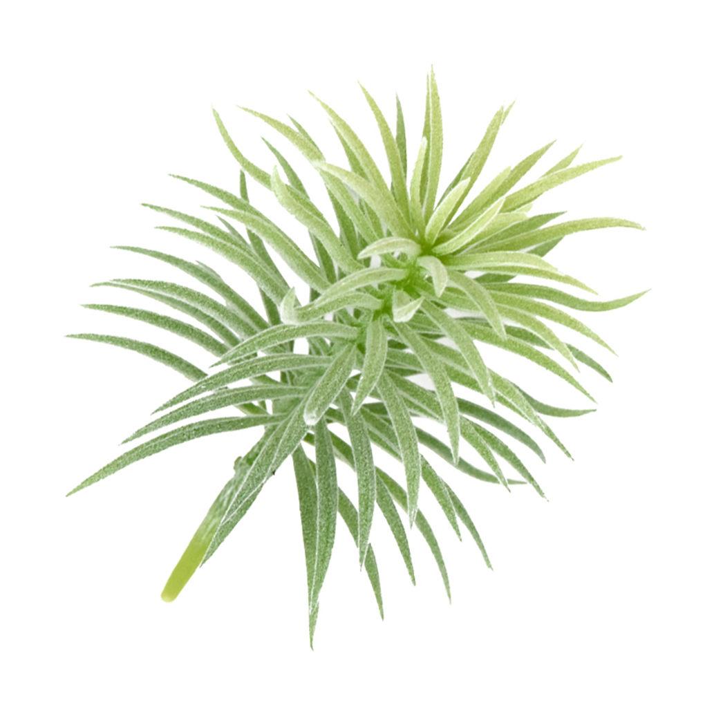Artificial Pine Plant Simulation Home Office Ornament Plant Decoration