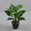 Artificial Bonsai Plant for Living Room, Office, or Hotel Lobby Decor