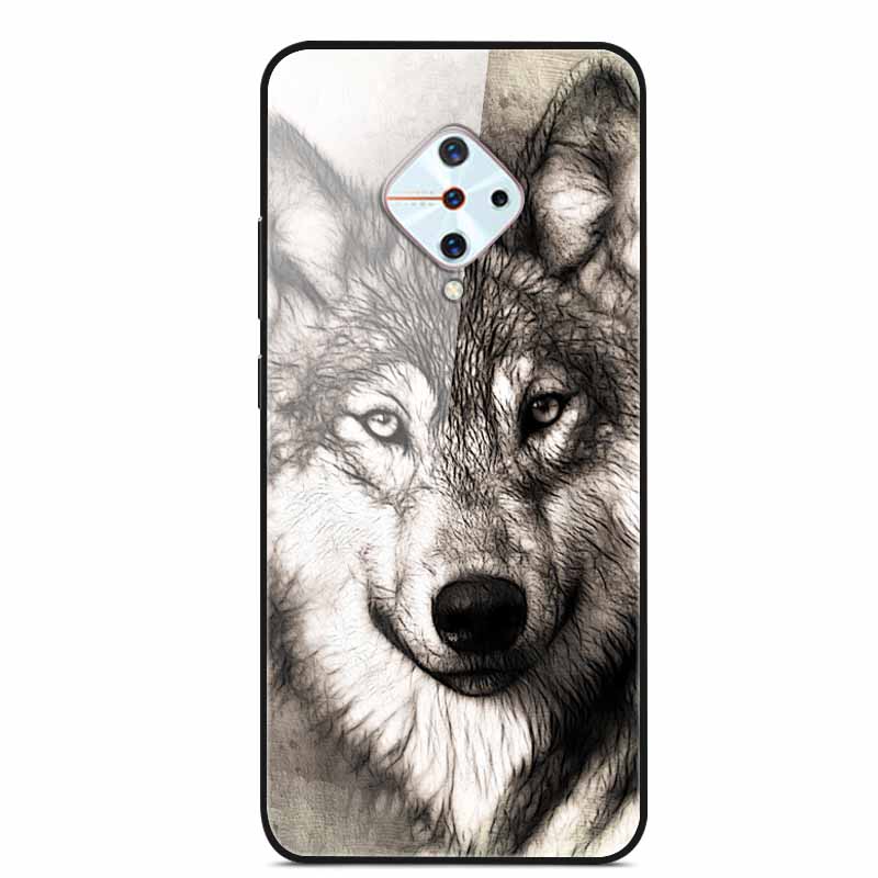 Tempered Glass Case For Vivo V17 Case Russia Glass Back Cover Soft Bumper For Vivo V17 Phone Cases V 17 Funda Y9s S1 Pro Coque