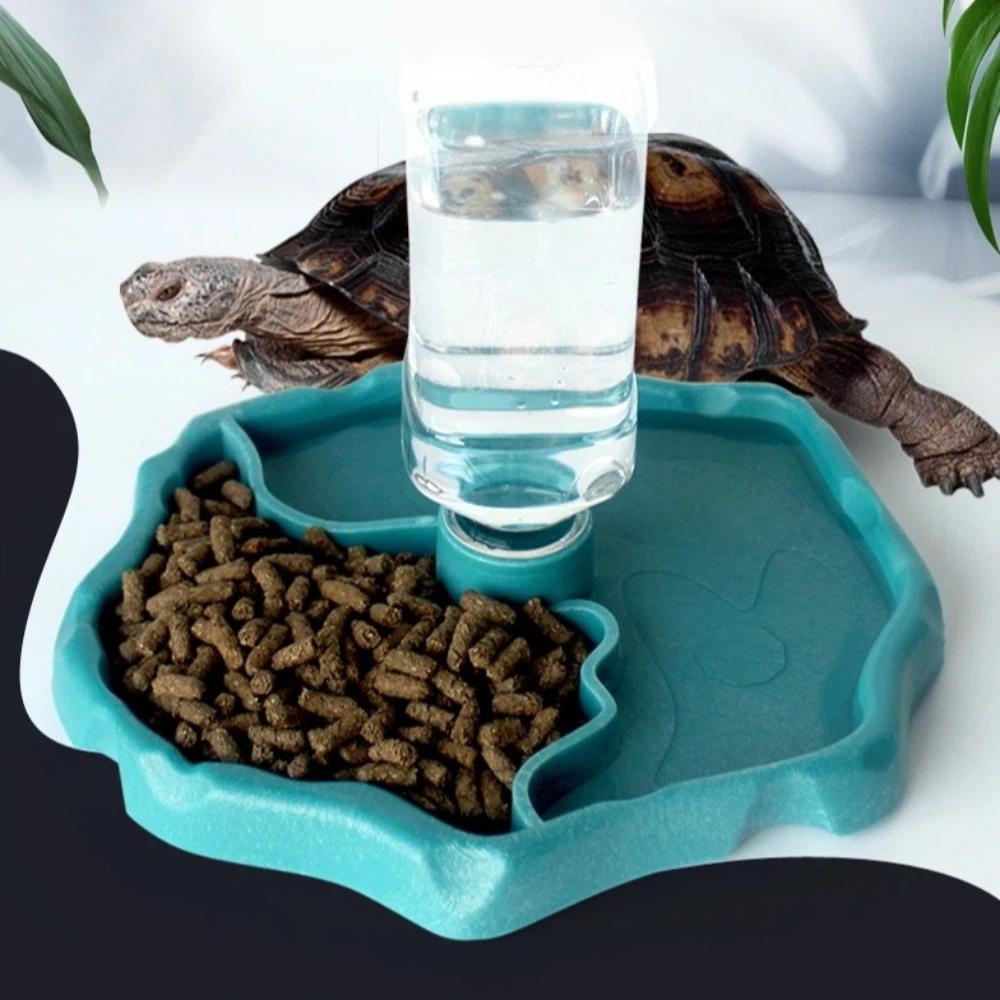 Removable Turtle Feeding Dish Large Capacity Small Pet Bowl New Reptile Feeder  Pet Supplies