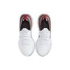 Nike React Infinity Run Flyknit White Light Brown CW5245-100