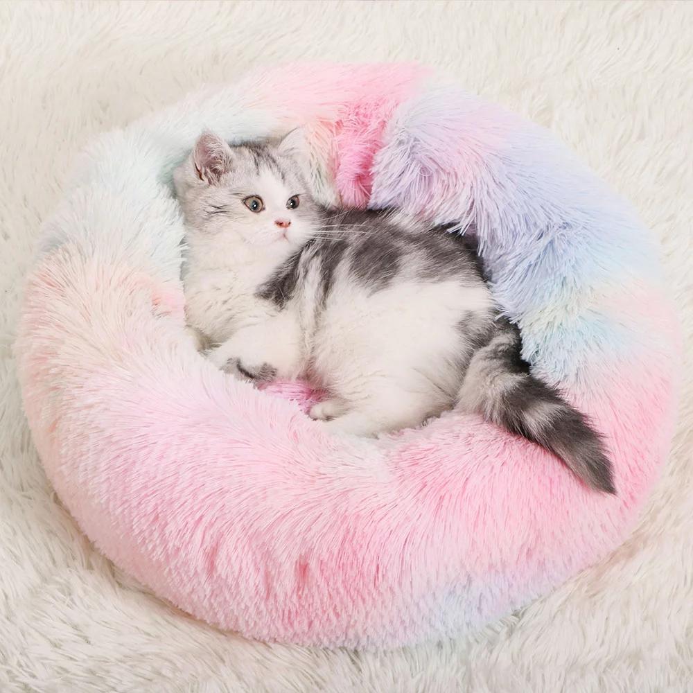rainbow cat bed