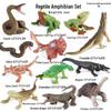Marine Animal Models: Tuna, Triggerfish, Dolphin, Moray Eel, Squid, Whale Shark, Hammerhead Shark, Sea Turtle, Swordfish